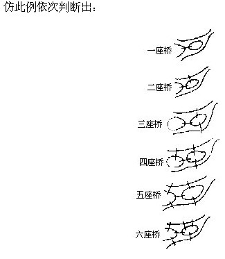 꼉W(sh),W(sh)n,W(sh)vx,W(sh)