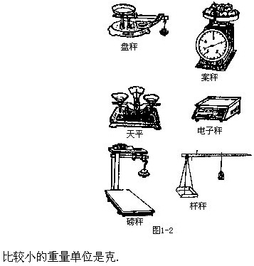 꼉W(sh),W(sh)n,W(sh)vx,W(sh)